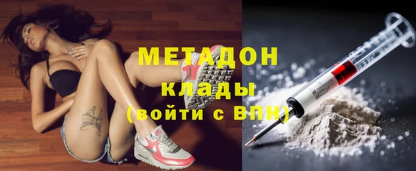 шишки Гвардейск