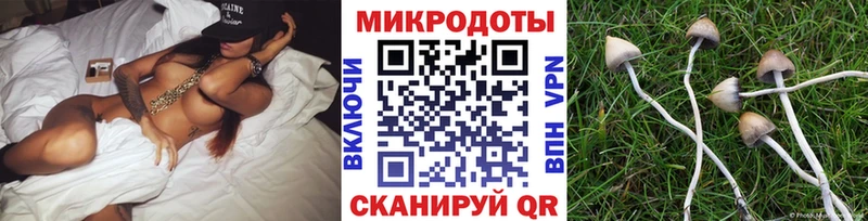 дарнет шоп  Коммунар  Псилоцибиновые грибы прущие грибы 