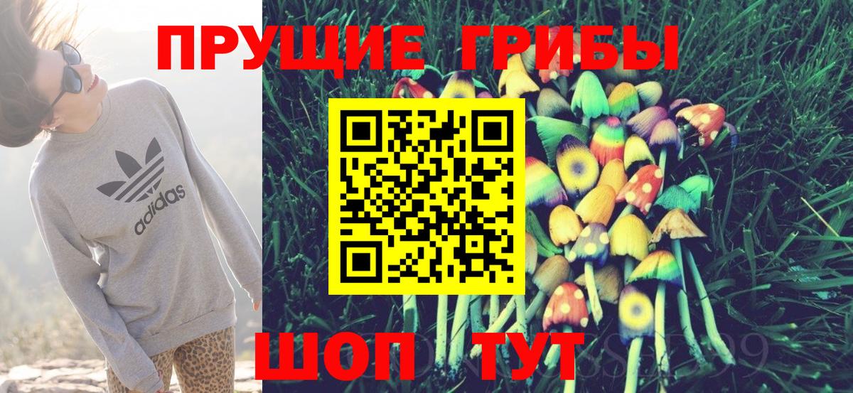 Псилоцибиновые грибы Cubensis  Вход с VPN  Коммунар 