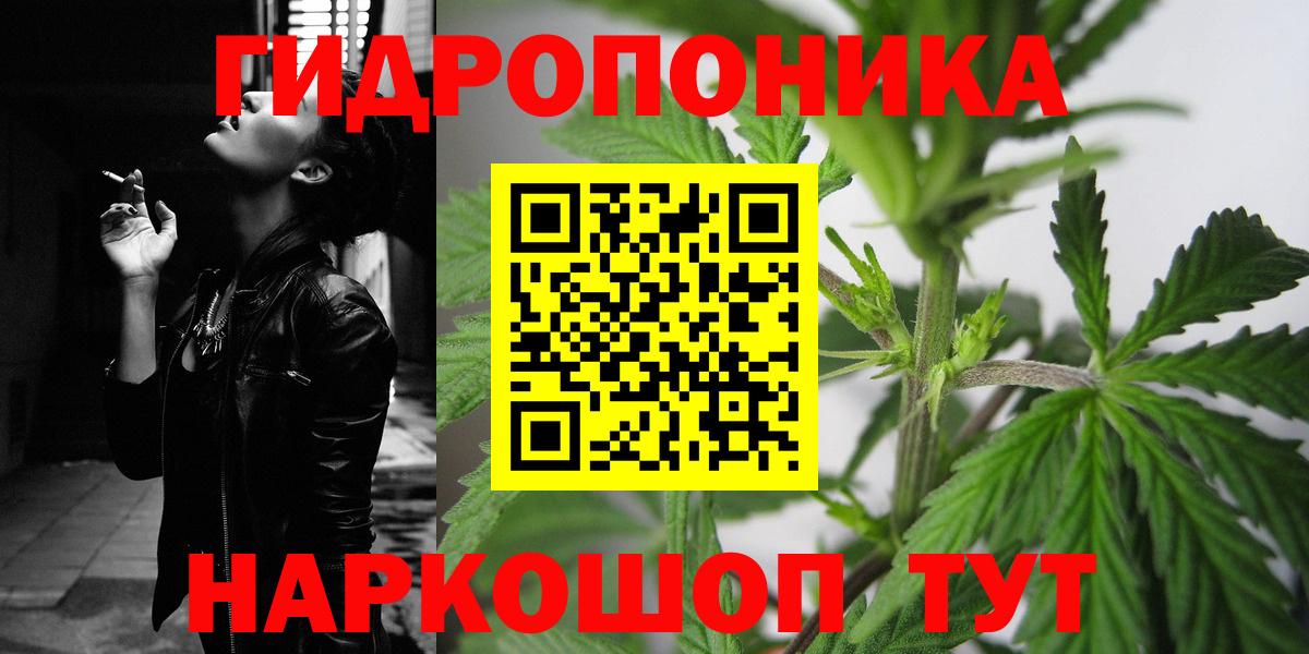 Конопля White Widow  Бошки Шишки OG Kush  Коммунар  Вход с VPN  Каннабис семена 